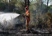 Prevenzione incendi, Galletti (M5S): “Regione riduce l’organico nel Centro provinciale AIB di Pisa. Anomalia estesa anche alle altre province? Saccardi risponda”