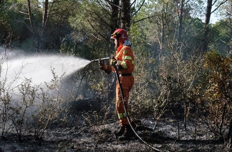 Prevenzione incendi, Galletti (M5S): “Regione riduce l’organico nel Centro provinciale AIB di Pisa. Anomalia estesa anche alle altre province? Saccardi risponda”