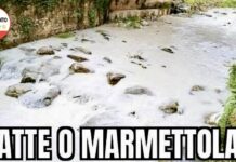 M5S Massa, inquinamento marmettola. Trovare i responsabili si potrebbe