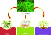 Massa, bonifiche. Mencarelli (M5S) “Persi 5 anni, avevamo proposto un progetto simile che la maggioranza di centrodestra aveva respinto”