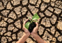 Montecatini T – Approvata Mozione Consumo Suolo a saldo Zero