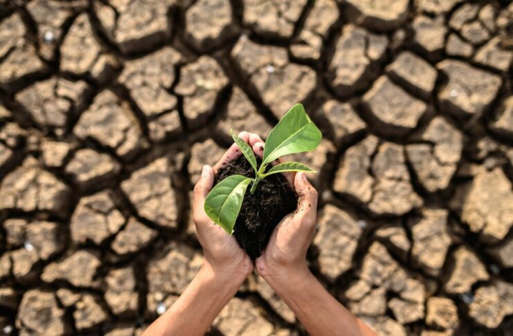 Montecatini T – Approvata Mozione Consumo Suolo a saldo Zero