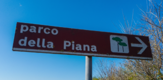 Parco Agricolo della Piana: il M5S rilancia la sua opposizione coerente all’espansione di Peretola e si apre alle 40 associazioni